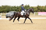 SBM_003653