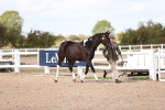 SBM_14433