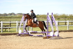 SBM_000354