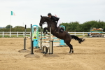 SBM_003828