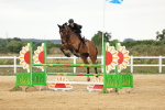 SBM_003566