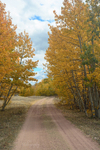 Golden Path