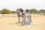 SBM_001178