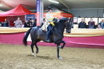 SBM_15968