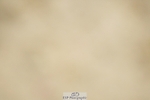 240309-150148-01374