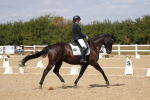 SBM_021961