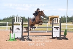 BPP_6170