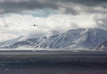 Arctic Ocean Spitzbergen
