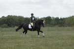 BVHT 140517 -248
