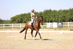 SBM_004867