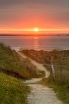 Beach Walk