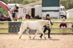 SBM_04531