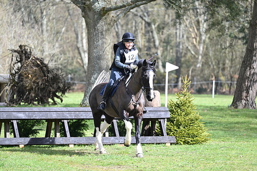 WJ7_0553