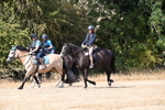 WJ6_9045