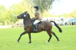 SBM_43019