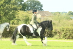 SBM_67460