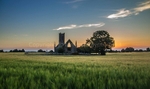 Kildare portfolio