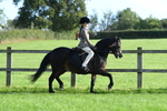 SBM_54003
