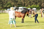 SBM_00510