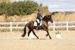 SBM_003532