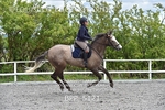 BPP_5121