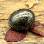 Polished Whitby Ammonite Nodule 028