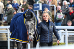 251025-Race 2-Inishcorker-7252