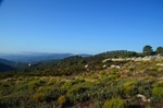 Montes de Jimena de la Frontera, Andalucia, Spain