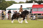 SBM_06186