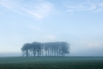 Cloyne2