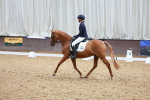 SBM_004462