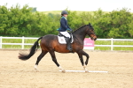 SBM_006624