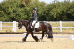 SBM_009173