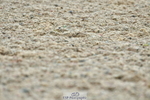 230708A-135628-03332