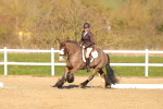 SBM_003485