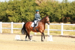 SBM_016700