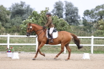 SBM_017406