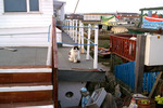 Shoreham Houseboats - 32