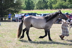 WJ6_5003
