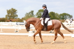 SBM_03731