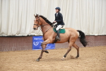 SBM_000190
