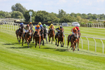 Race 3 portfolio