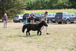 WJ6_7039