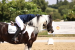 SBM_003760