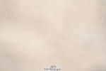 240323A-105153-01477