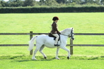 SBM_50264