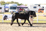 SBM_14057