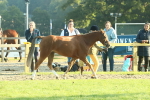 SBM_57397