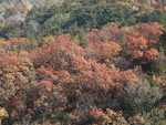 CHINA__1261