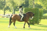 SBM_59295